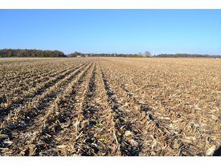 Property photo 50 - MAJOR ILLINOIS LAND AUCTION - 752.54+/- ACRES OFFERED IN 9 TRACTS IN KANKAKEE COUNTY, ILLINOIS